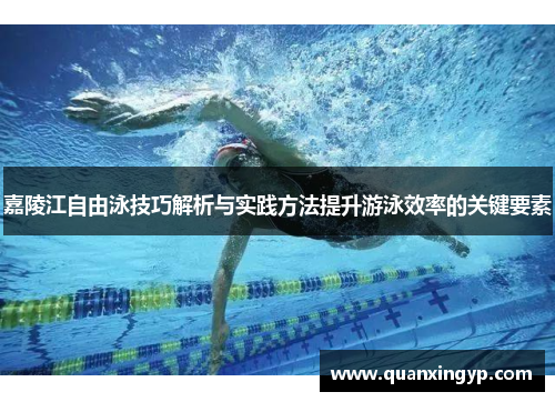 嘉陵江自由泳技巧解析与实践方法提升游泳效率的关键要素
