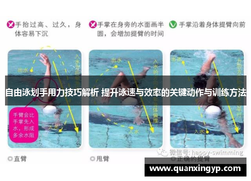 自由泳划手用力技巧解析 提升泳速与效率的关键动作与训练方法