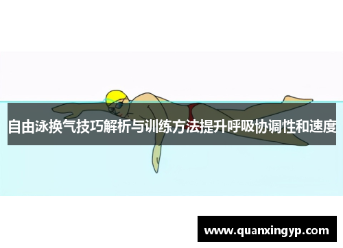 自由泳换气技巧解析与训练方法提升呼吸协调性和速度