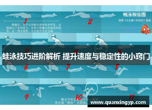 蛙泳技巧进阶解析 提升速度与稳定性的小窍门
