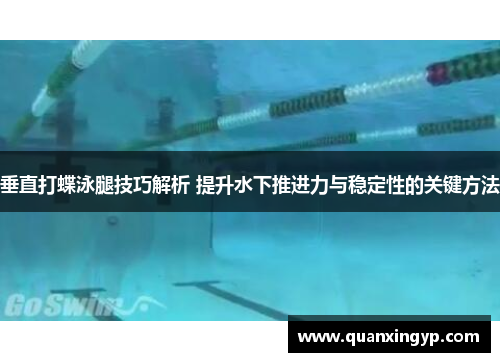 垂直打蝶泳腿技巧解析 提升水下推进力与稳定性的关键方法